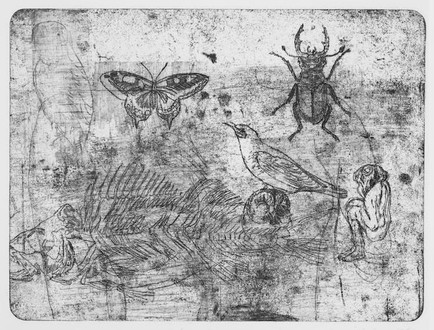 MarioLattes_Appunti_di_zoologia_1969_acquaforte_vernice_molle_mm_246_x_328_MostraTorino
